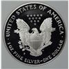 Image 2 : 1996 AMERICAN SILVER EAGLE