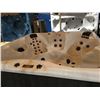 Image 2 : CAL SPA HOT TUB, LES-G SPAS, STERLING SILVER ARCY, 100X100 COASTAL BASE, BENCH, 4 PILLOWS, 46