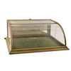 Image 1 : Slant Front Display Case