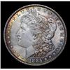 Image 2 : 1885-p Rainbow Toned Morgan Dollar $1 Grades Choice Unc