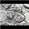 Image 7 : ***Auction Highlight*** 1896-o Morgan Dollar $1 Graded Select Unc By USCG (fc)