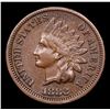 Image 2 : 1882 Indian Cent 1c Grades xf+