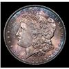 Image 2 : 1886-p Morgan Dollar $1 Grades Select+ Unc