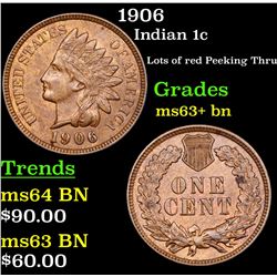 1906 Indian Cent 1c Grades Select+ Unc BN