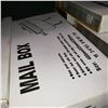 Image 2 : 2 NEW LOCKING MAIL BOXES