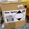 Image 2 : 6 BOXES CITRUS FLASH DASH