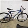 Image 1 : BLUE INFINITY INCLINE BIKE