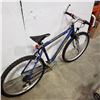 Image 3 : BLUE INFINITY INCLINE BIKE
