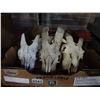 Image 1 : 4 GOAT SKULLS