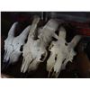 Image 2 : 4 GOAT SKULLS
