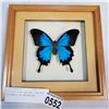Image 2 : STAINED GLASS WELCOME SIGN AND BUTTERFLY IN SHADOW BOX