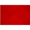 Image 11 : Nazi Flag