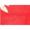 Image 4 : Nazi "RLB" Air Raid Service Flag