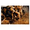 Image 3 : WWI Large Action Photo
