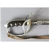 Image 5 : Saber for All Officers 1902