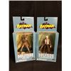 Image 1 : DC Direct Batman Hush Action Figure Lot