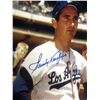 Image 2 : SANDY KOUFAX SIGNED BASEBALL PHOTO (ALL SPORTS AUCTIONS COA)