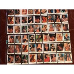 PENTHOUSE COLLECTORS SERIES TRADING CARDS