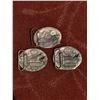 Image 2 : SISKIYOU NHL BELT BUCKLES LOT