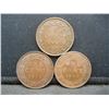 Image 1 : (3) CANADIAN CENTS (1901,1902 & 1903),