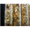 Image 3 : 4 Vials of Gold Leaf Flakes