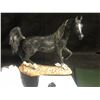 Image 2 : Swarovski Crystal Swarovski Stallion: Crystal Figurines and Crystal Myriad Amurath