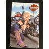 Image 3 : COLLECTIBLE HARLEY DAVIDSON LOT (FRAMED DISPLAY/ TIN SIGN)