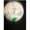 Image 3 : MULTI SIGNED SOCCER BALL W/ LENARDUZZI BROTHERS PLUS MORE...