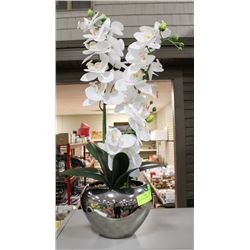 ORNAMENTAL FLOWER IN POT