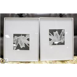 LOT OF 2 FRAMED FLOWER PICTURES