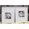 Image 1 : LOT OF 2 FRAMED FLOWER PICTURES