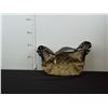Image 1 : Replica  COACH purse.