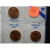 Image 3 : (7) types of 1982 Lincoln Cents