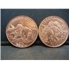 Image 1 : (2)-1 OUNCE PURE COPPER (.999) ROUNDS (DINASAUR'S), PROOF!