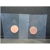 Image 1 : (2) Blank Planchets
