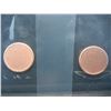 Image 2 : (2) Blank Planchets