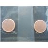 Image 3 : (2) Blank Planchets