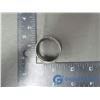 Image 1 : Ring for the World's Largest Finger (Willowbunch Giant)