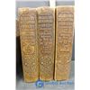 Image 3 : 1921 Colier's New Encyclopedia 1-10 (missing 7)