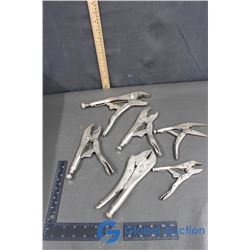 (6) Locking Adjustable Pliers