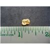 Image 3 : 1.02 Grams Gold