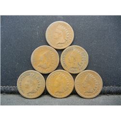 (6) Ave Circ 1864 Indian Cent  Nice Lot