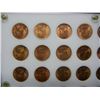 Image 13 : Gem BU Complete Set 1935-58 Wheat Sets Capital Plastic. Nice Set
