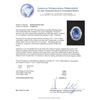 Image 5 : 8.58 ctw Tanzanite and Diamond Ring - 14KT White Gold
