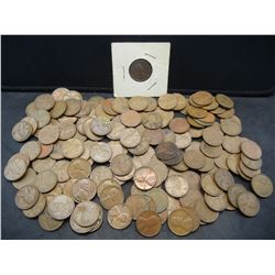 Lot of (150) Plus 40's and 50's Lincoln Wheat Cents
