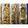 Image 2 : (5) Vials of Leaf Flakes,