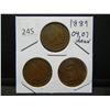 Image 1 : 1899, 1904, 07 Indian Head Cents