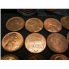 Image 3 : Lot of (14) Wheat Cents, Mixed Dates
