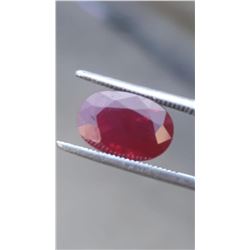 Natural Kashmir Origin Red Ruby  - GIA Certified