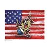 Image 1 : Warner Brothers Hologram Taz with Flag